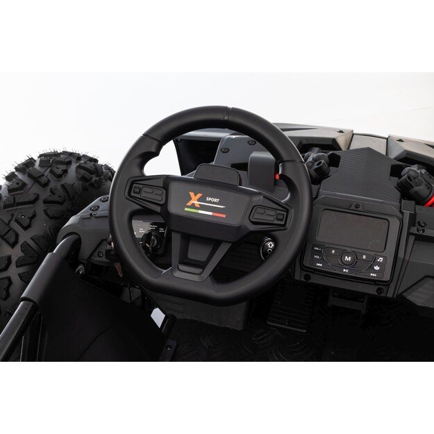Dvivietis elektromobilis bagis GENERAL 63 800W, juodas