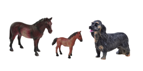 Naminiai ir ūkio gyvūnai