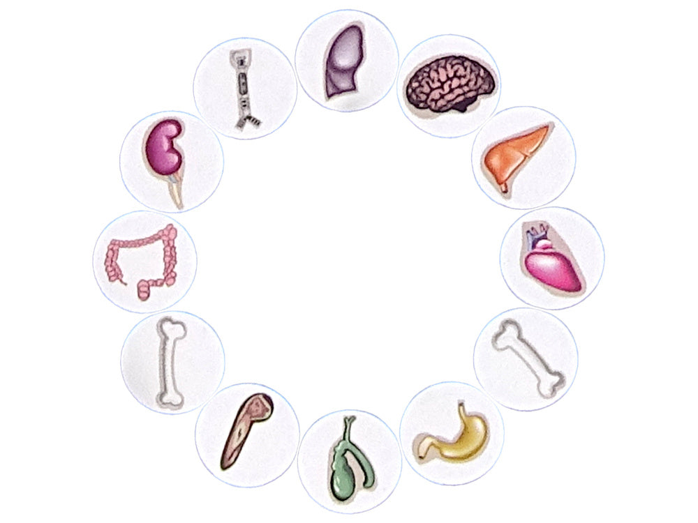 Stalo žaidimas „Išprotėjęs gydytojas“