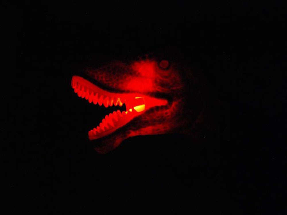 Nuotoliniu būdu valdomas interaktyvus dinozauras T-Rex