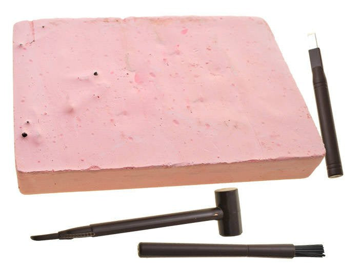 Archeologinis rinkinys Tyranozauro 3D skeletas