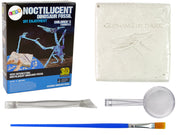 Archeologinis kasinėjimo rinkinys „Pteranodonas“, 3D holograma