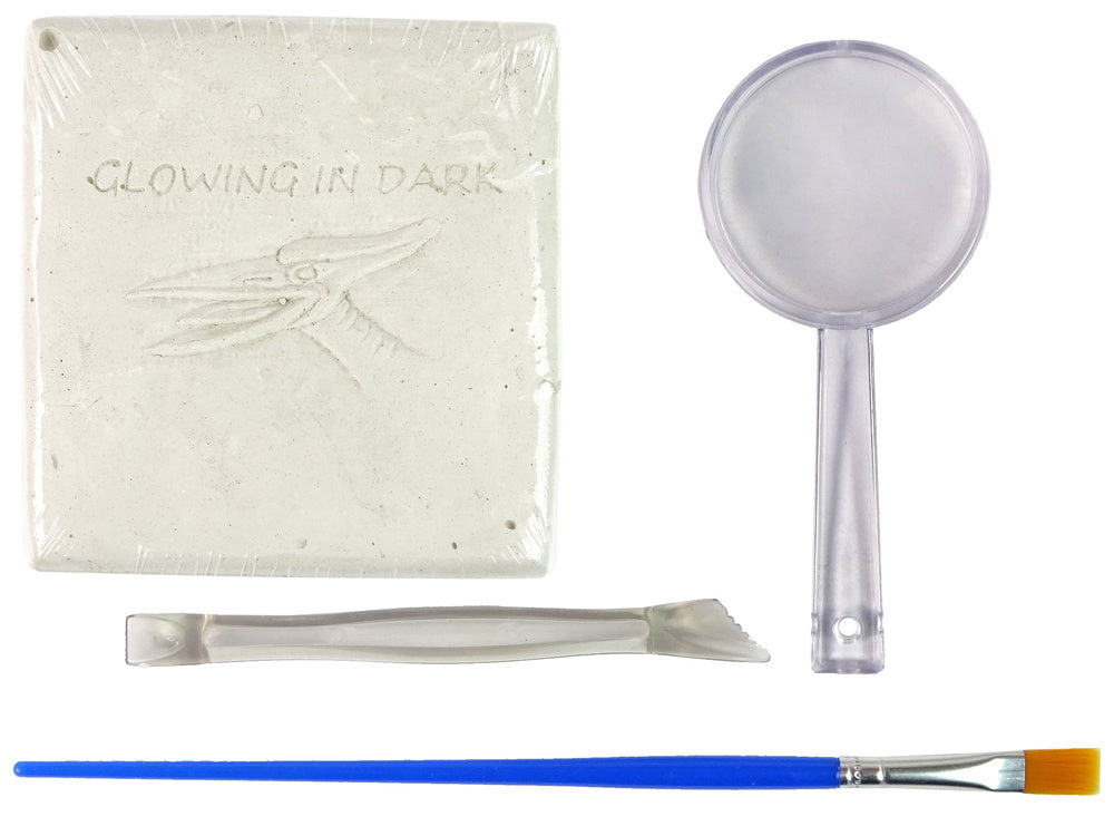 Archeologinis kasinėjimo rinkinys „Pteranodonas“, 3D holograma