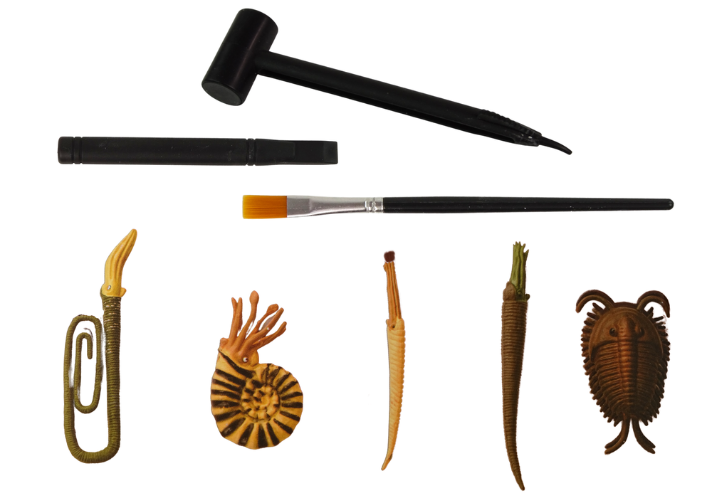 Archeologijos kasinėjimų rinkinys „Amonitas su būtybe“