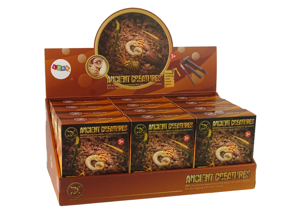 Archeologijos kasinėjimų rinkinys „Amonitas su būtybe“