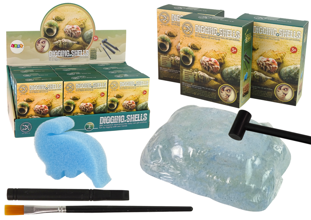 Archeologijos kasinėjimų rinkinys kriauklės