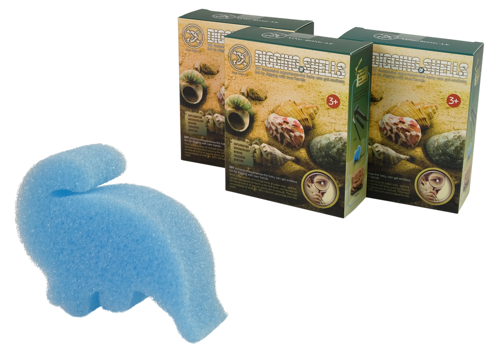 Archeologijos kasinėjimų rinkinys kriauklės