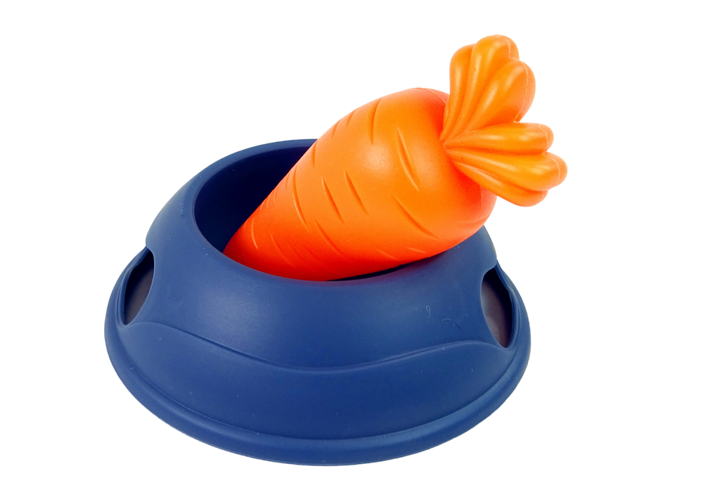 Interaktyvus triušis su morka