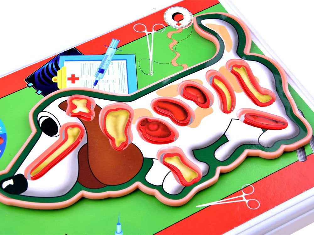 Edukacinis žaidimas „Veterinaras “