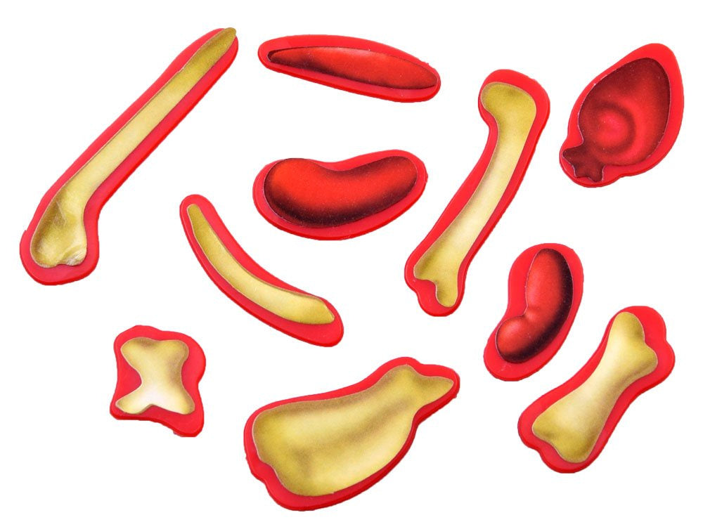 Edukacinis žaidimas „Veterinaras “