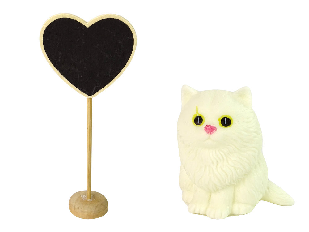 Lėlė Emily su priedais