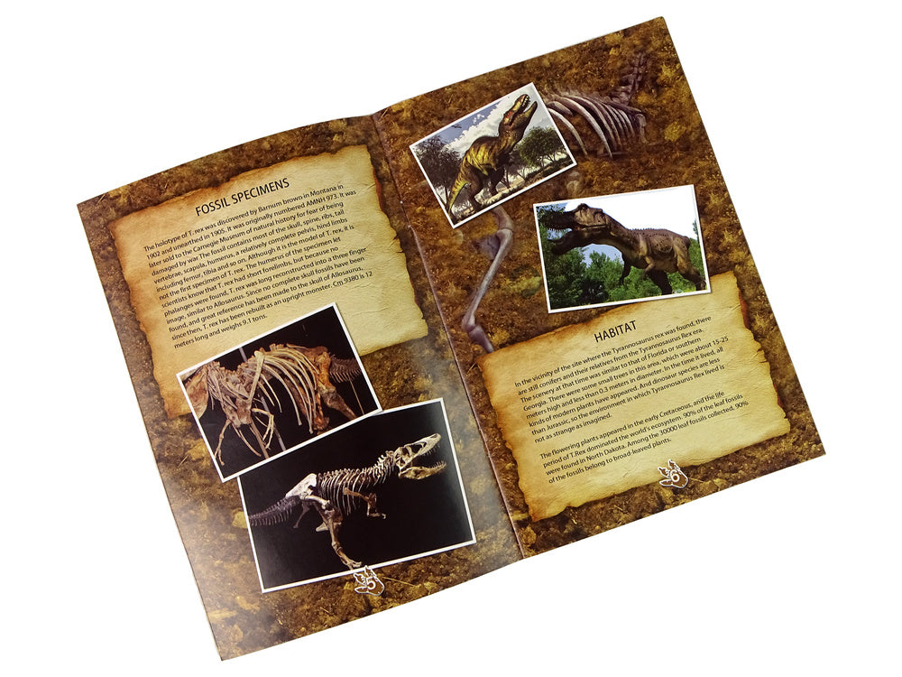 Edukacinis rinkinys - amonitų kasinėjimas, tiranozauras