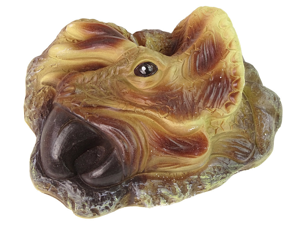 Edukacinis rinkinys - amonitų kasinėjimas, triceratopsas