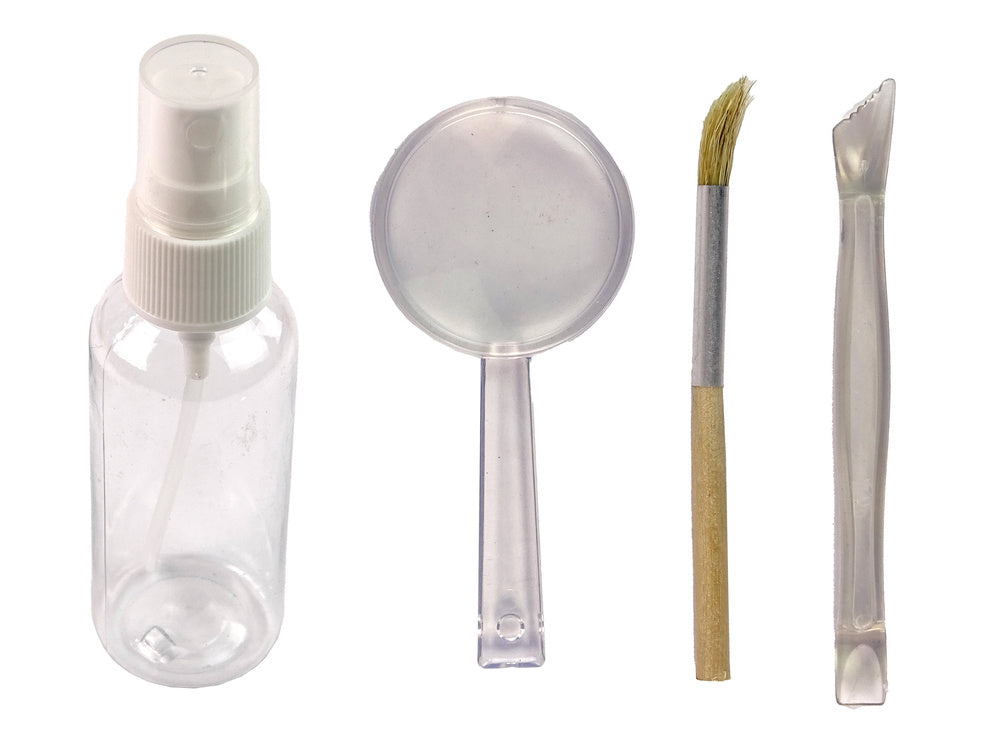 Edukacinis rinkinys - amonitų kasinėjimas