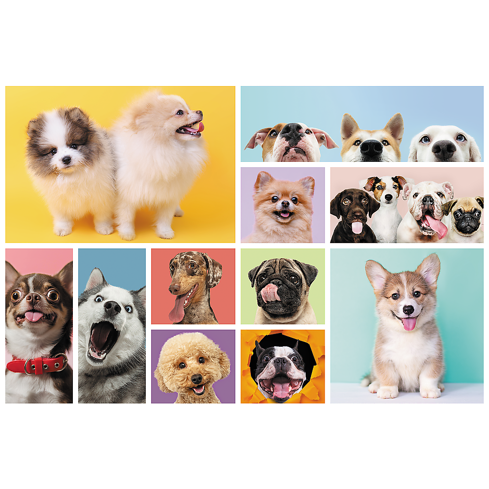 Dėlionė vaikams ‘Šunys” Trefl 15412, 160 el.