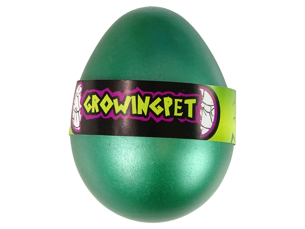 Perinti skirtas kiaušinis 6 cm, vėžliai