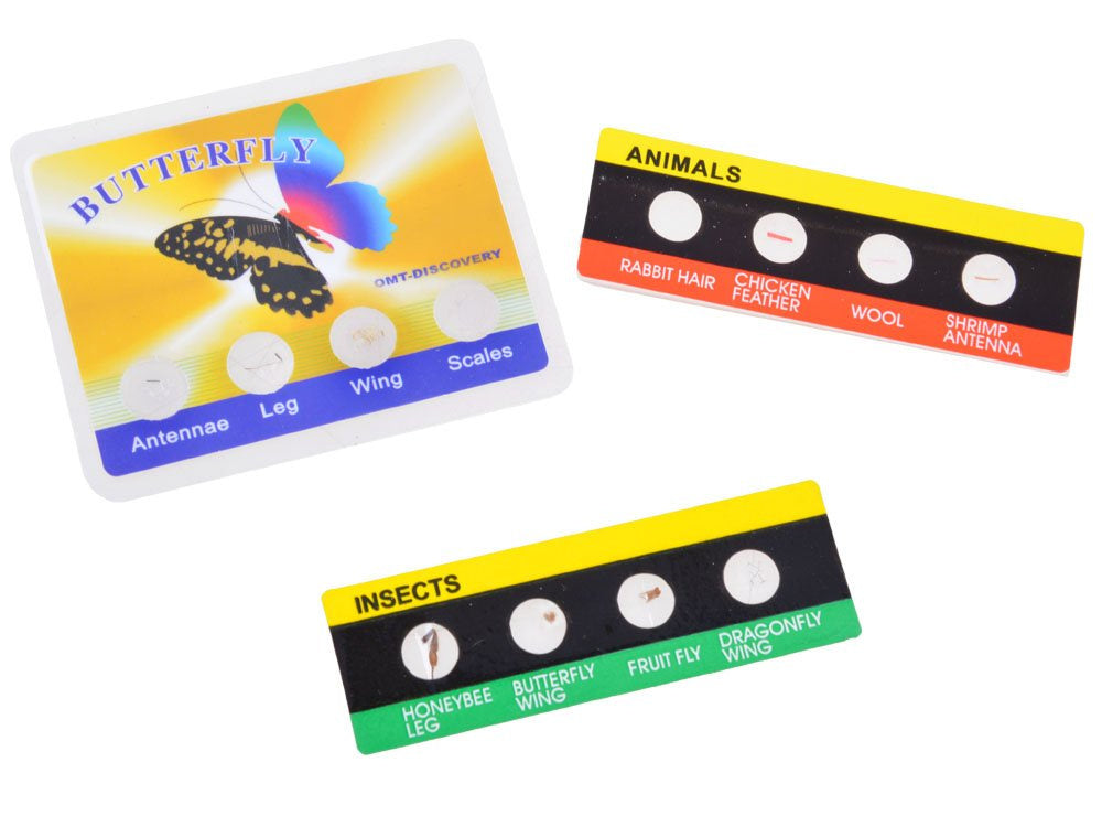 Didelis mokslininko rinkinys vaikams