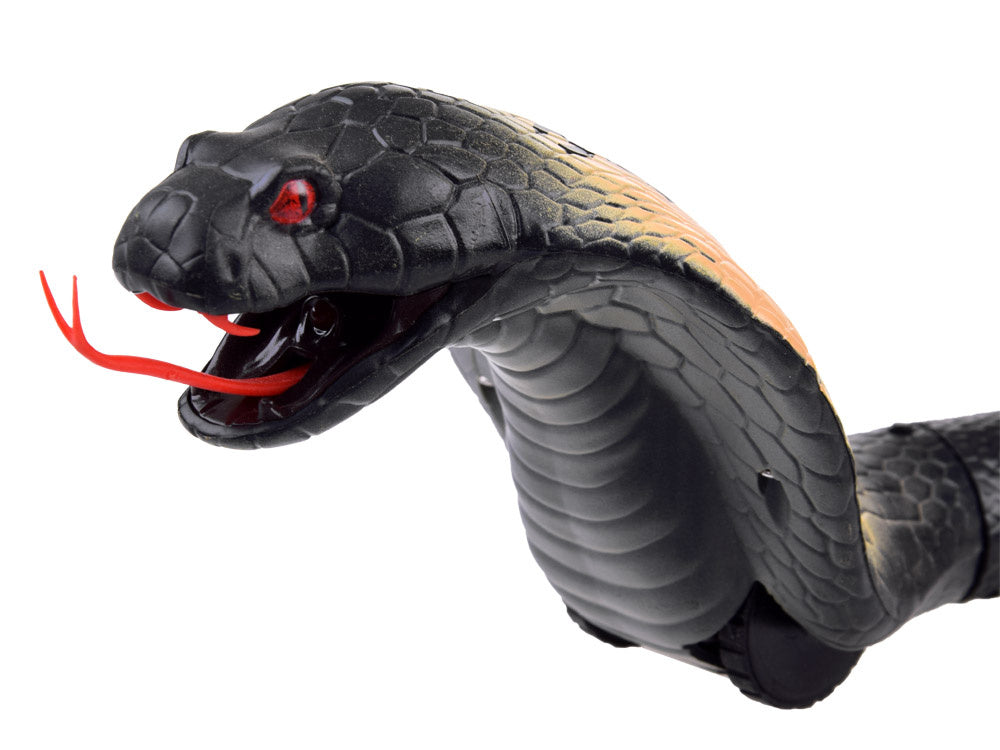 Nuotoliniu būdu valdoma juoda gyvatė Cobra