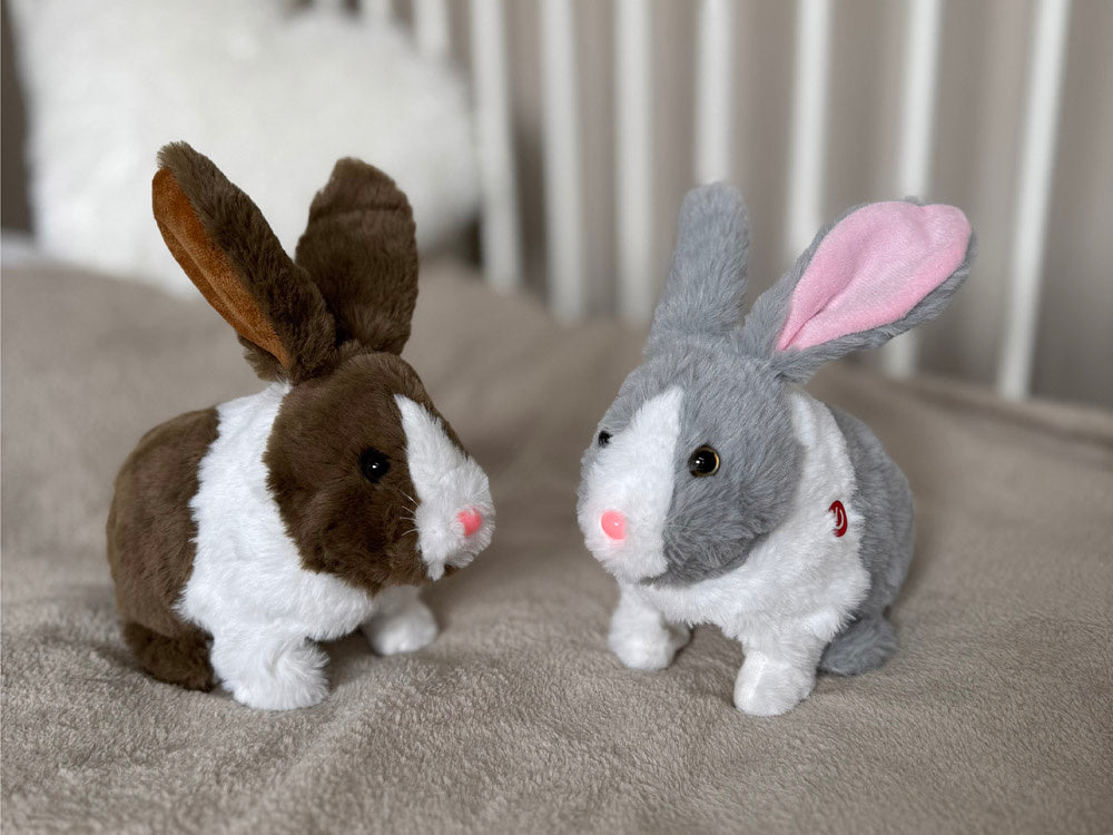 Interaktyvus rudas triušis su morka