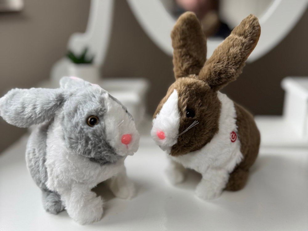 Interaktyvus rudas triušis su morka