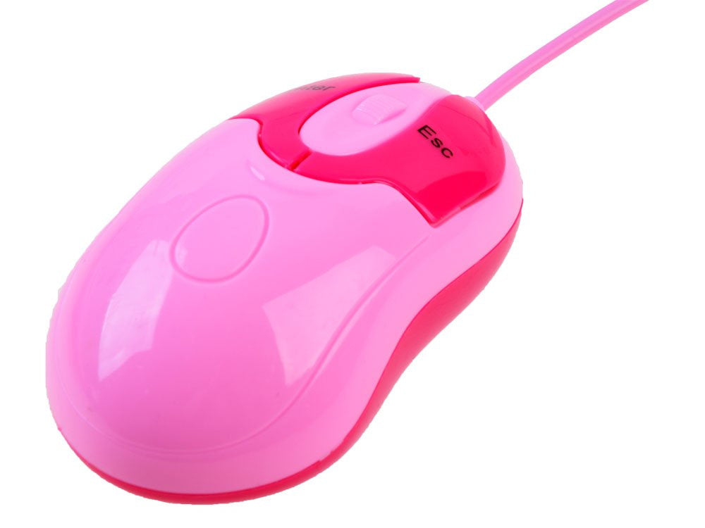 Mokomasis nešiojamas kompiuteris lenkų-anglų kalba, 65 funkcijos, rožinis