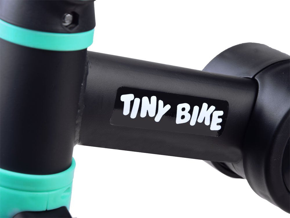 Triratis dviratis 3in1, mėlynas