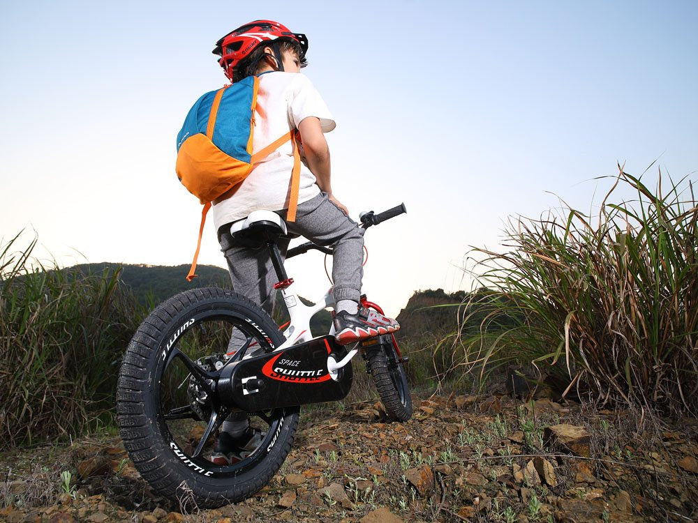 Vaikiškas dviratis 14" su papildomais ratais ir stumimo rankena, violetinis, Royal Baby