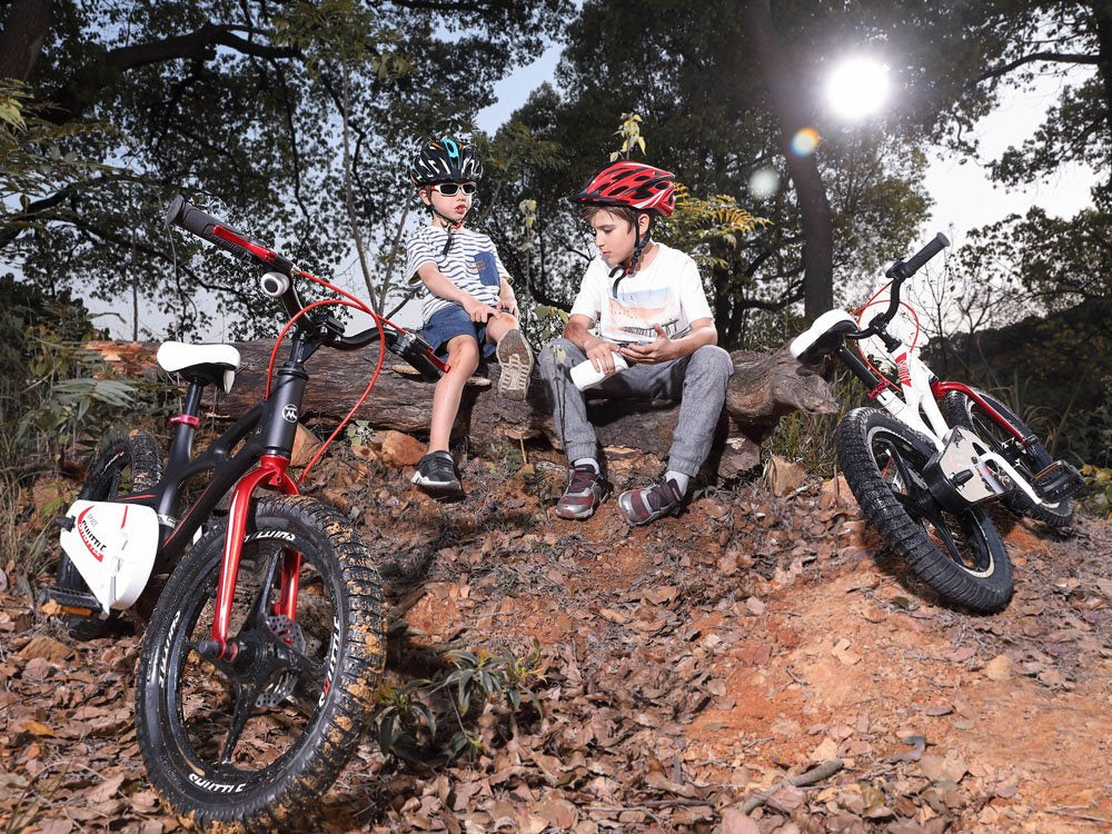 Vaikiškas dviratis 14" su papildomais ratais ir stumimo rankena, violetinis, Royal Baby