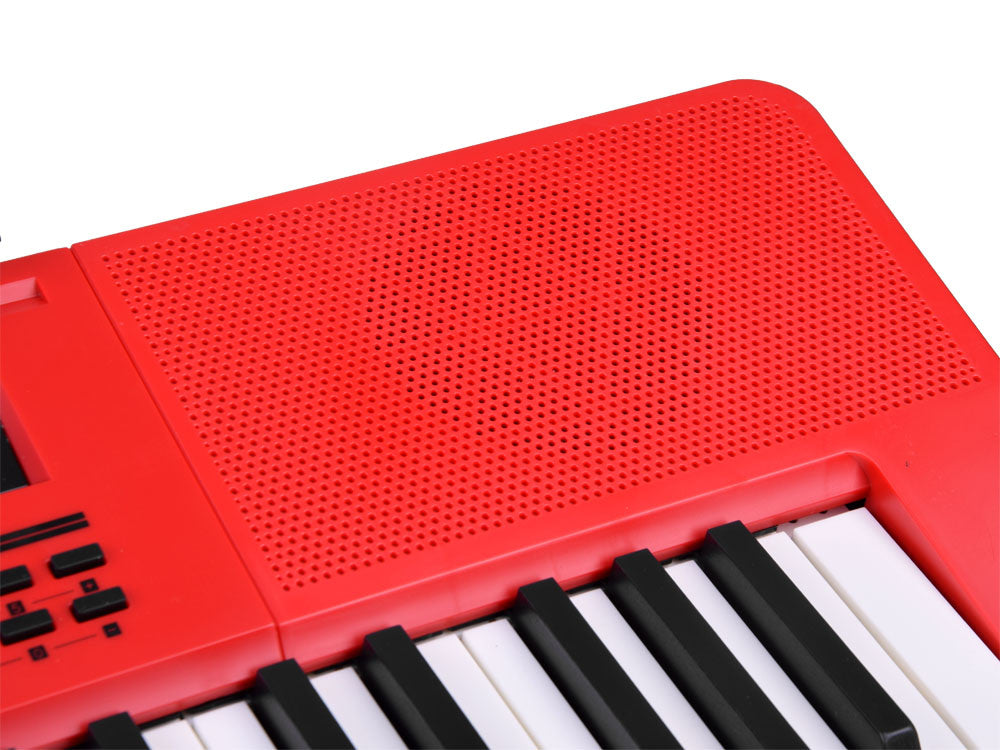 Vaikiškas sintezatorius su mikrofonu