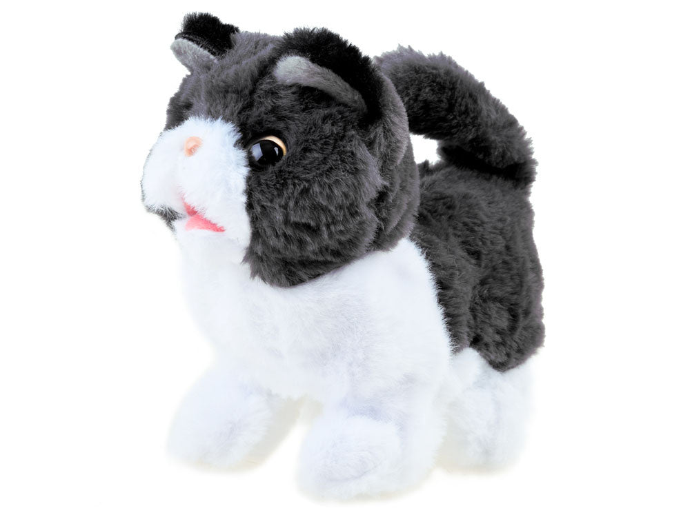 Interaktyvi katytė su garsais