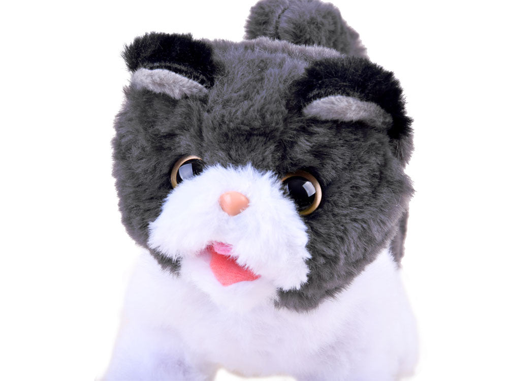 Interaktyvi katytė su garsais