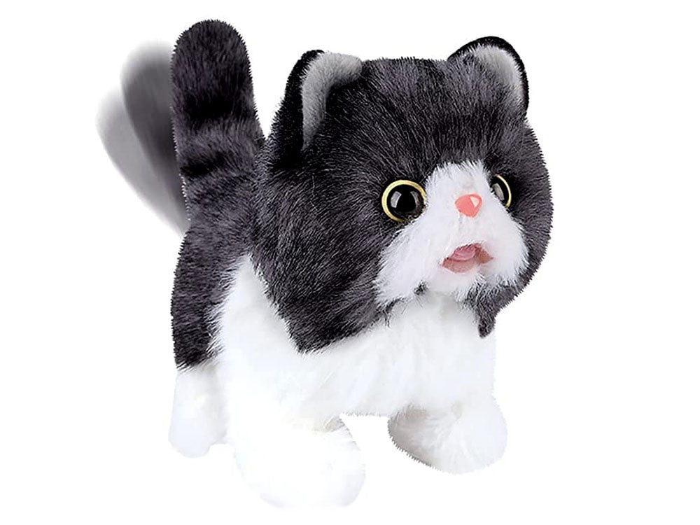 Interaktyvi katytė su garsais