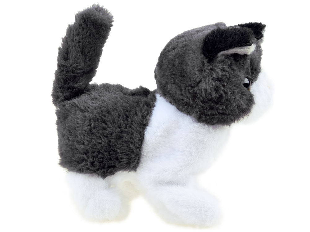 Interaktyvi katytė su garsais