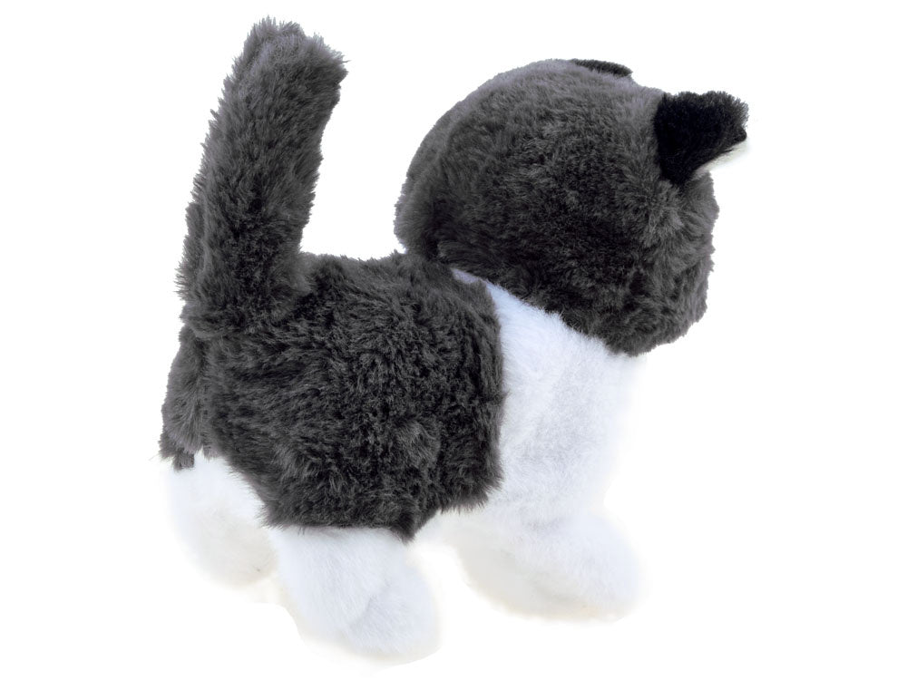 Interaktyvi katytė su garsais