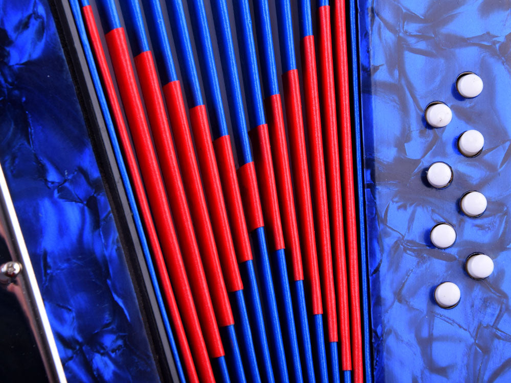 Didelis vaikiškas  akordeonas