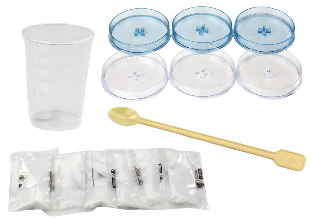 Edukacinis kūrybinis rinkinys kristaliniams medeliams auginti