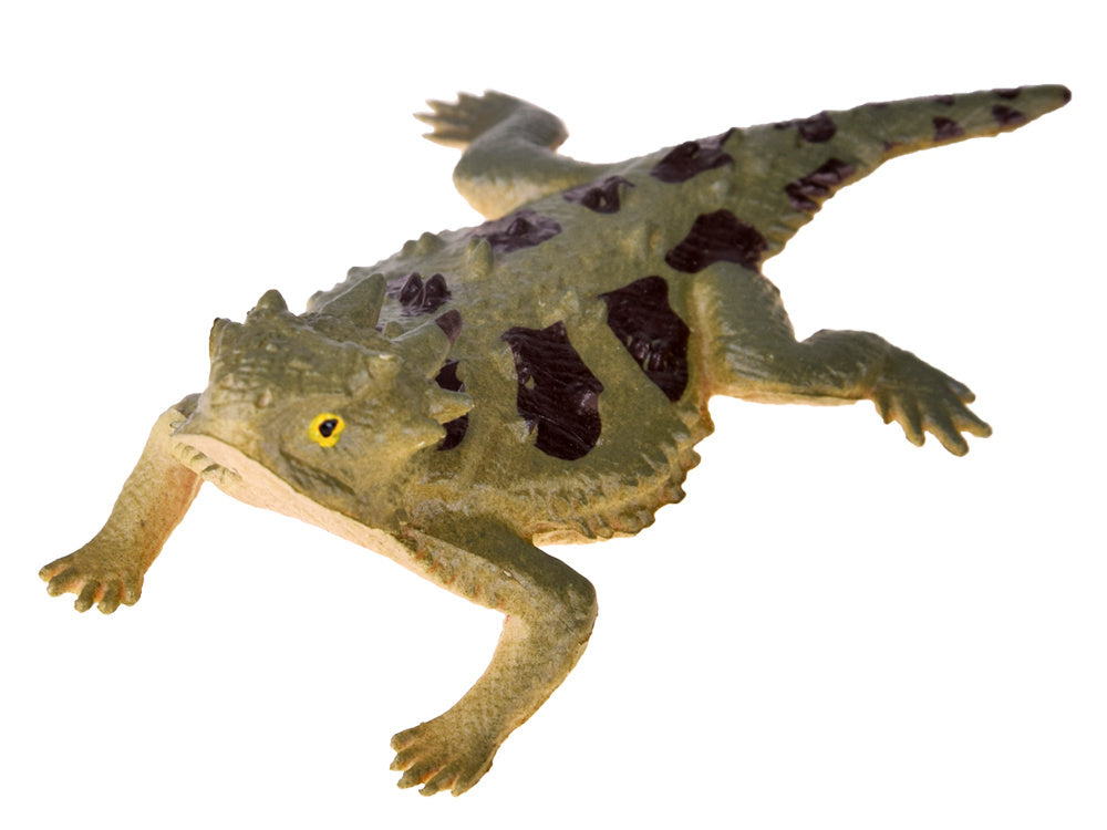 Driežų rinkinys 6 vnt.