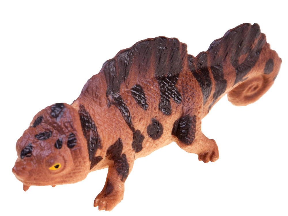 Driežų rinkinys 6 vnt.