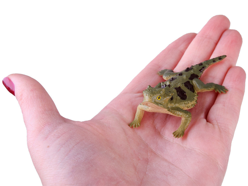 Driežų rinkinys 6 vnt.