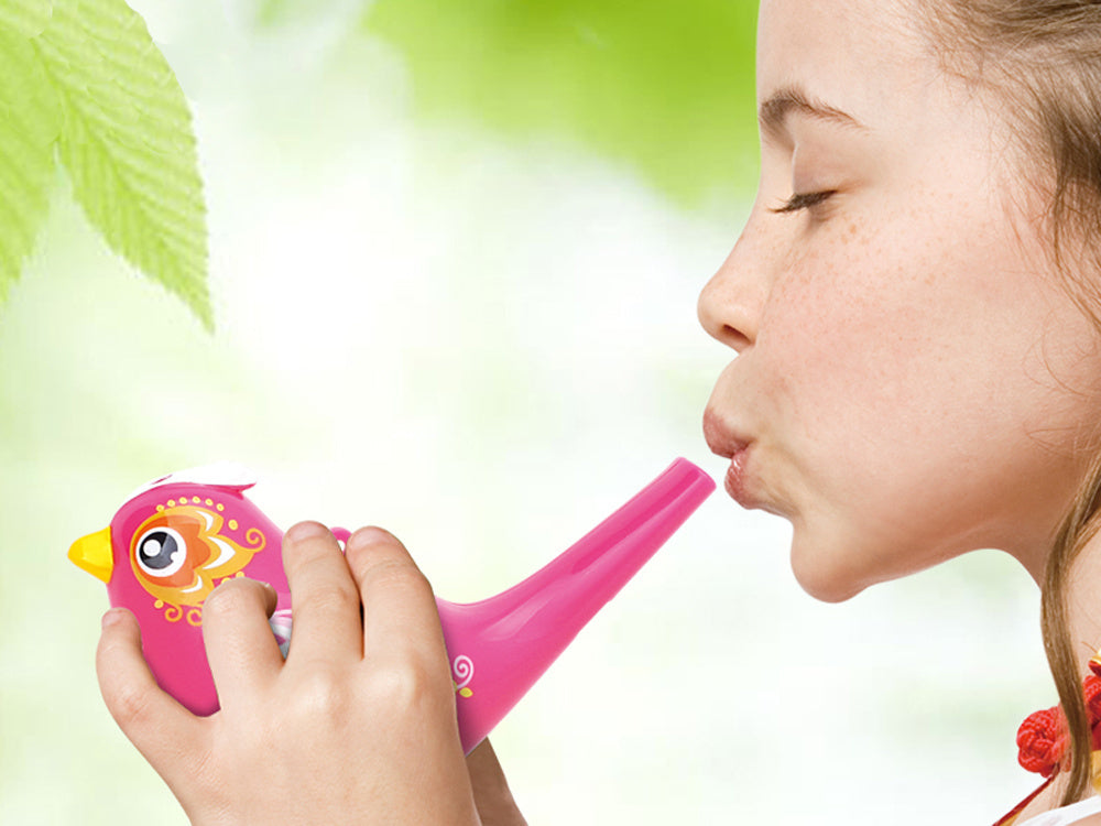 Vandens švilpukas paukštis oranžinis, Hola