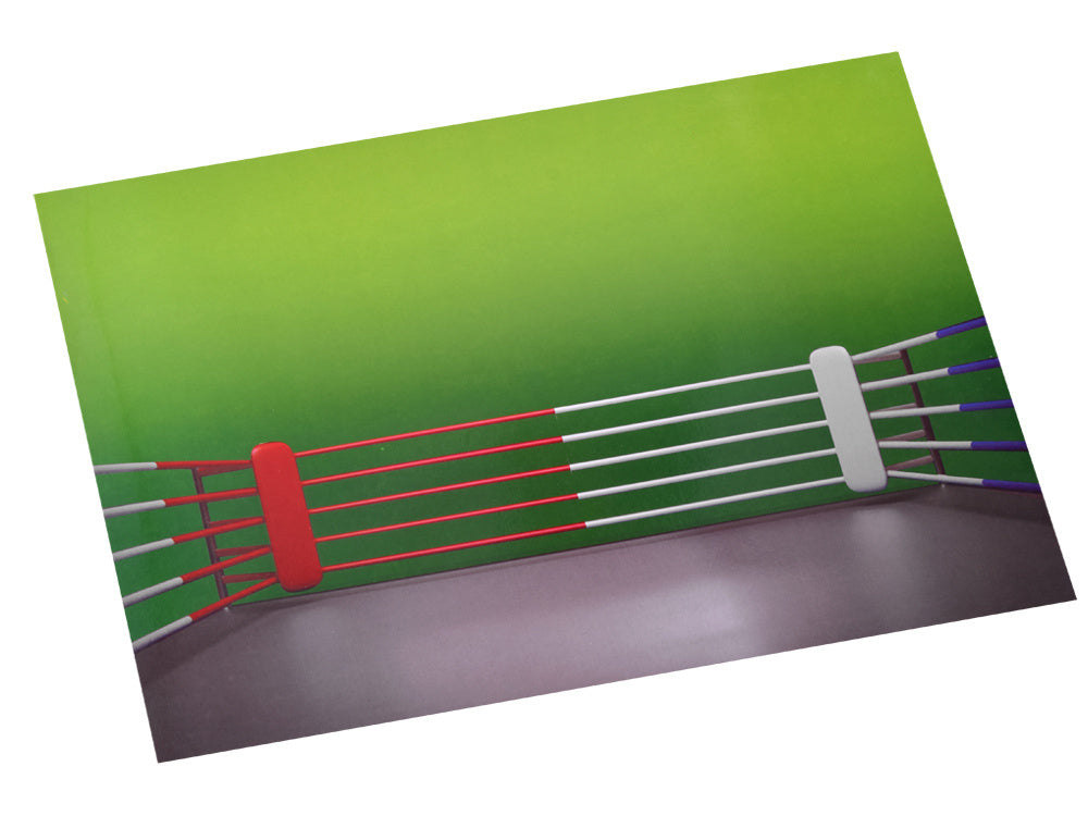 Nuotoliniu būdu valdomas bokso žaidimas