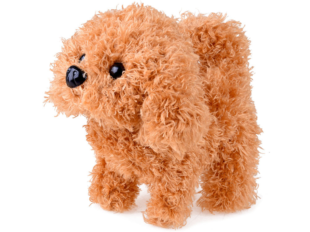 Veterinarijos gydytojo rinkinys su šuniuku ir transporteriu