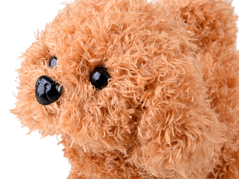 Veterinarijos gydytojo rinkinys su šuniuku ir transporteriu