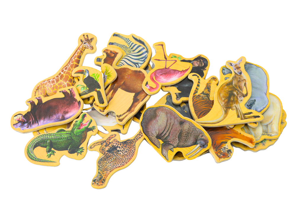 Medinių magnetukų gyvūnų rinkinys 20 vnt.