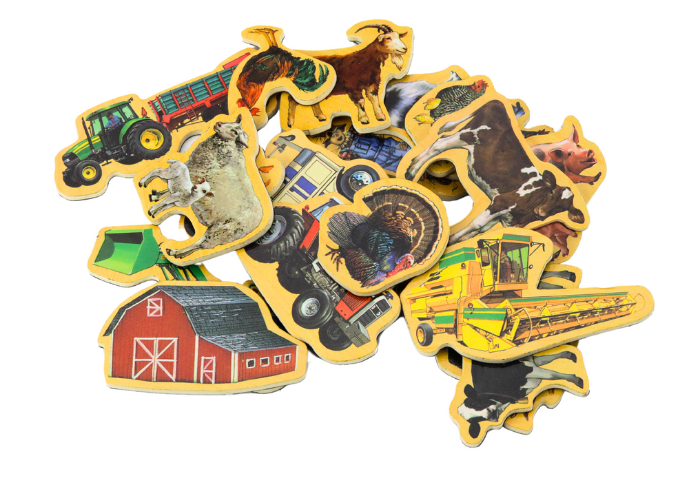 Medinių naminių gyvūnų ir technikos magnetukų rinkinys, 20 el.