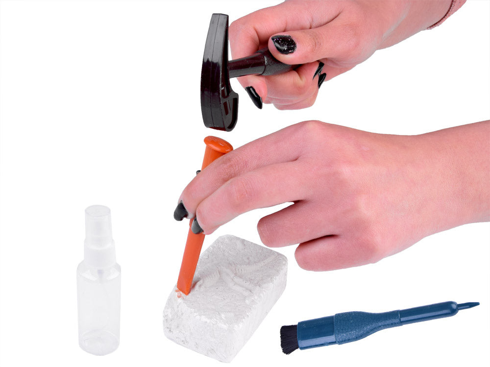 Archeologinių kasinėjimų rinkinys 6in1 „Dinozaurai“