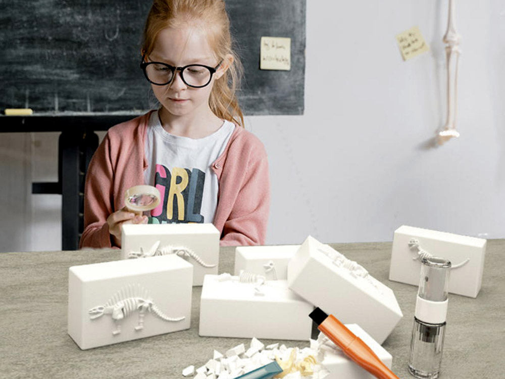 Archeologinių kasinėjimų rinkinys 6in1 „Dinozaurai“