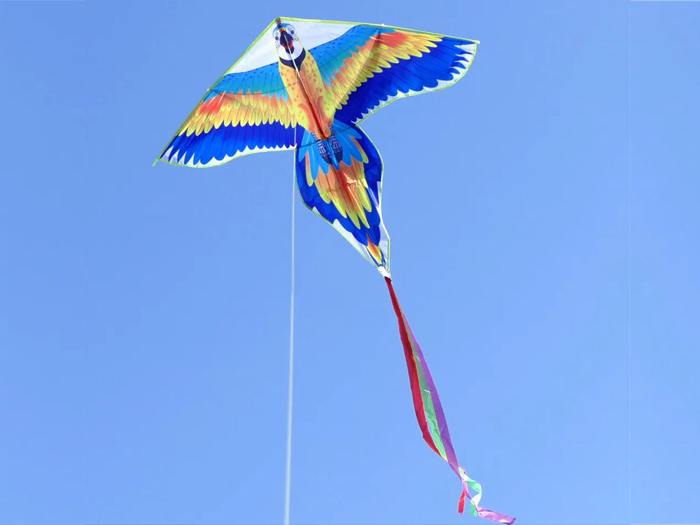 Papūgos formos aitvaras