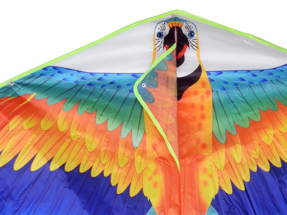 Papūgos formos aitvaras