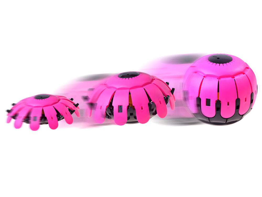 Skraidantis diskas kamuolys